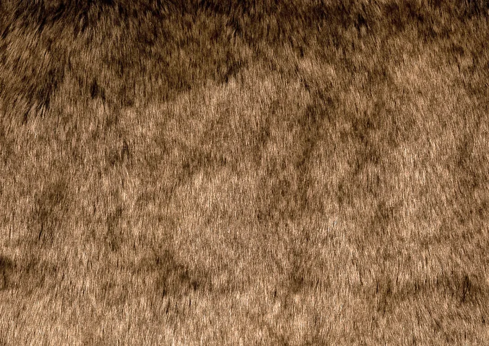 FURRY_0 FURRY_0