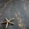 Тонкошаровий матеріал Africa_34