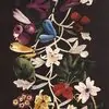 Ткань для штор About Flowers_5