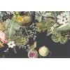 Тканина для штор So Avantgardening_3