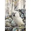 Curtain fabric Quetzal Velvet from Amazone_9
