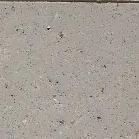TDG 15681