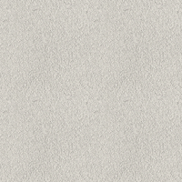 209E