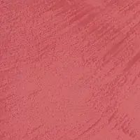 O1NR