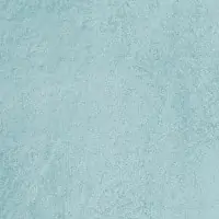 L4SD