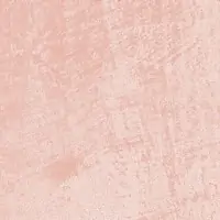 O4NR