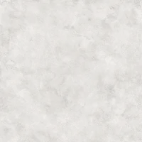 DSO 18247