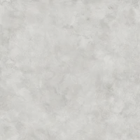 DSO 18249