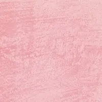 L4SE