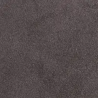 A319