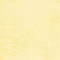 L3SG
