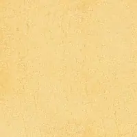 O3NY