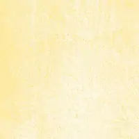 L4SG