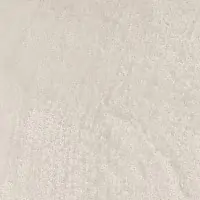 L4GC