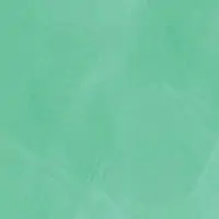 S4AV