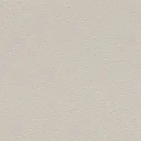 W2F 061