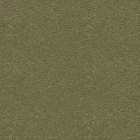 OR1KG