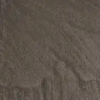 L1GE