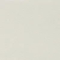 W2F 063