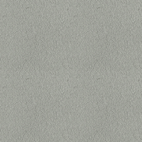 217E