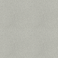 219E