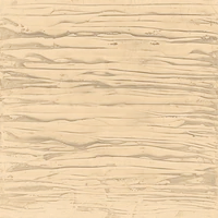 20420