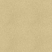 023Y
