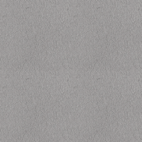 289E