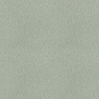 229E