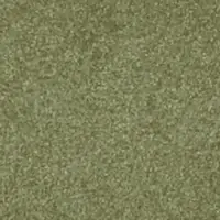 DG14202