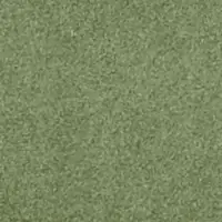 DG14203