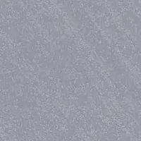 W5SC