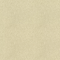 009E