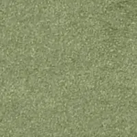 DG14204