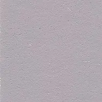 LS 21