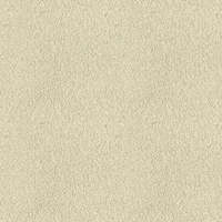 010E