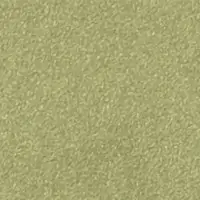 DG14205
