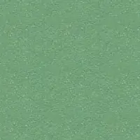 N2NL