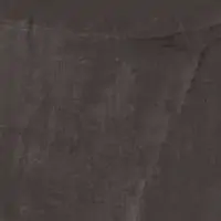 S1NA
