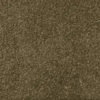 DG14206