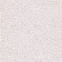 LS 24