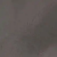 S2NA