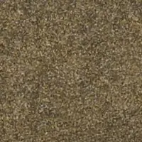 DG14207