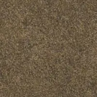 DG14208