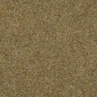 DG14209