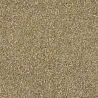DG14211