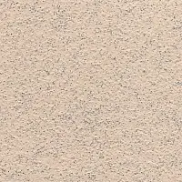 E IP 4169
