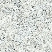 C4KG