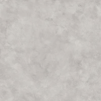 DSO 18278