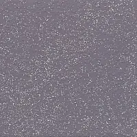 E IP 4170